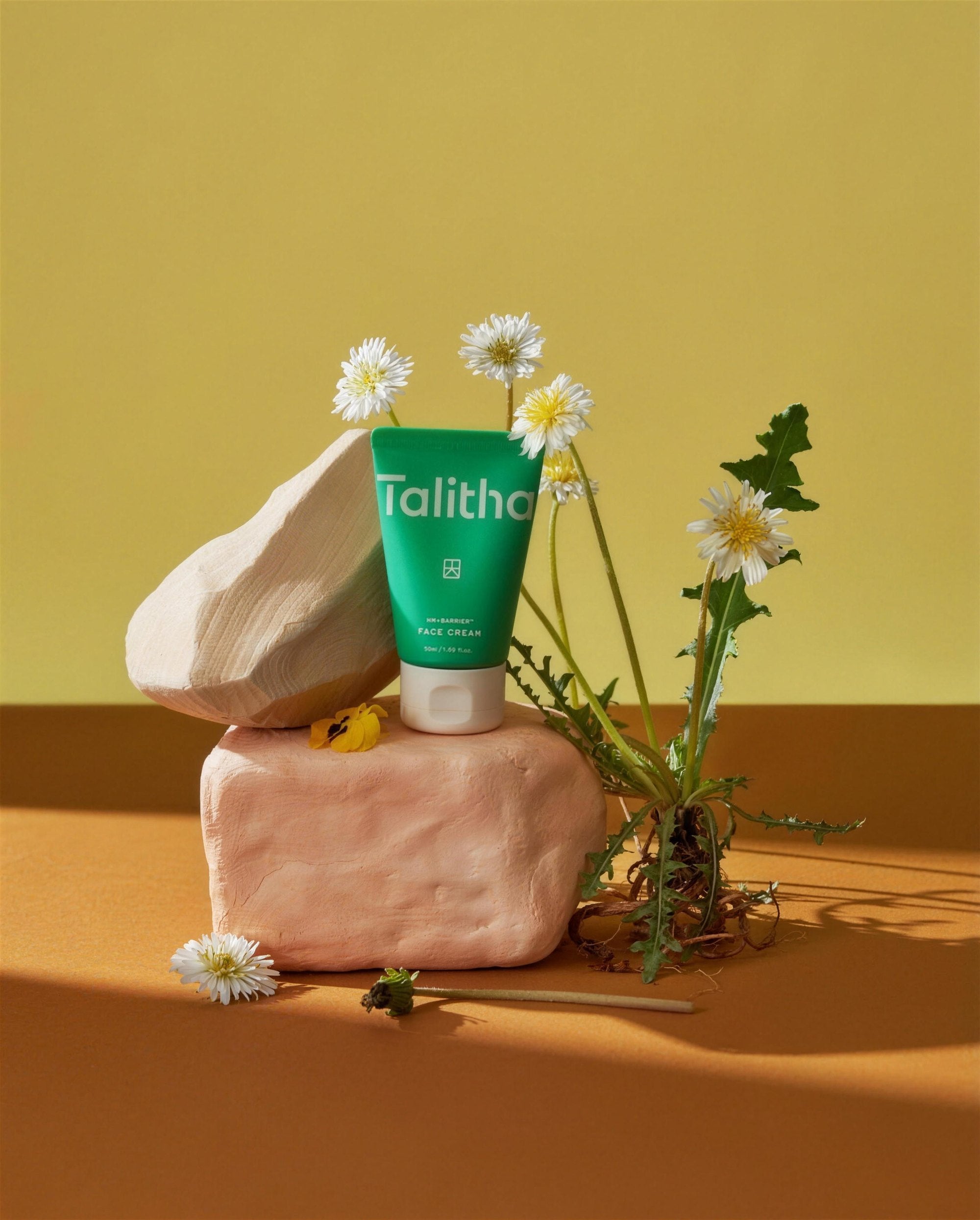 HM+Barrier Face Cream on a clay rock with white dandelions