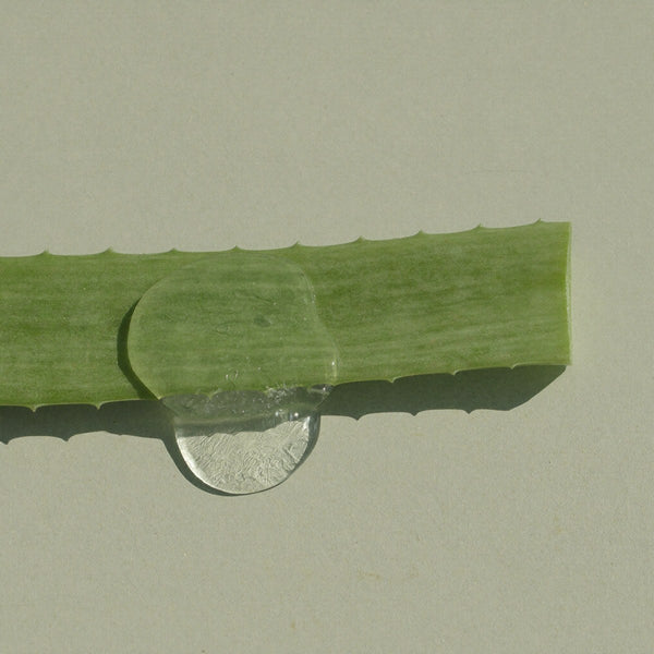 Glycerin, sorbitol and aloe