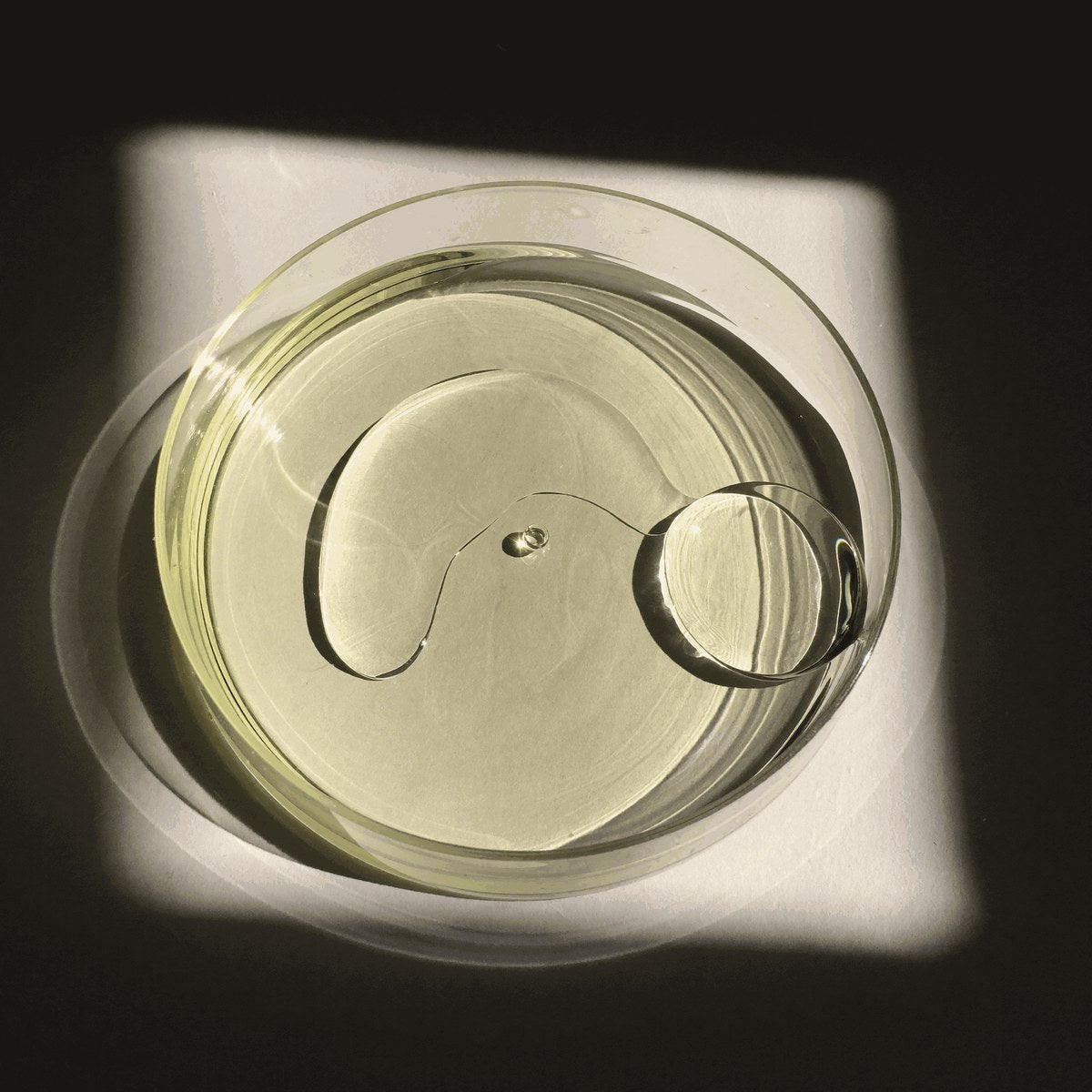 Ceramide NP